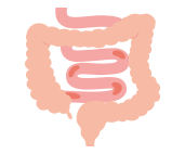 小腸型