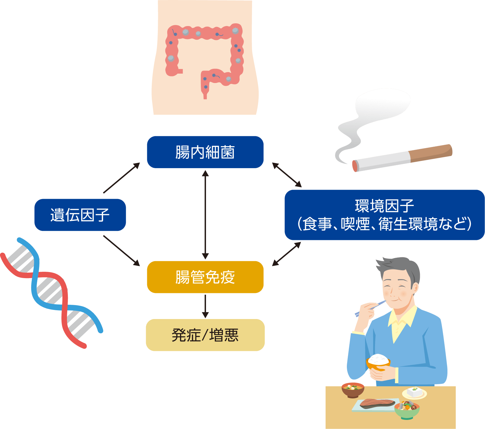 クローン病の考えられる発症原因